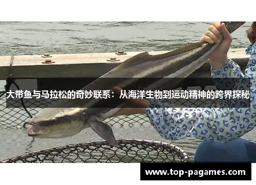 大带鱼与马拉松的奇妙联系:从海洋生物到运动精神的跨界探秘 大带鱼与马拉松的奇妙联系:从海洋生物到运动精神的跨界探秘