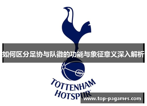 如何区分足协与队徽的功能与象征意义深入解析