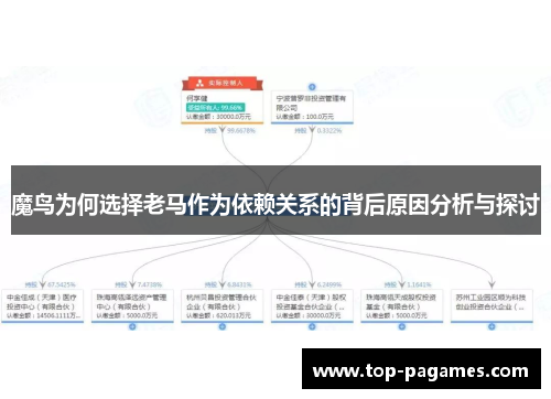 魔鸟为何选择老马作为依赖关系的背后原因分析与探讨