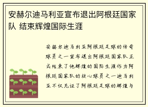 安赫尔迪马利亚宣布退出阿根廷国家队 结束辉煌国际生涯