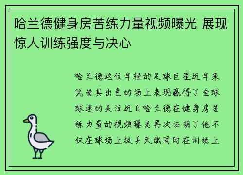 哈兰德健身房苦练力量视频曝光 展现惊人训练强度与决心 哈兰德健身房苦练力量视频曝光 展现惊人训练强度与决心
